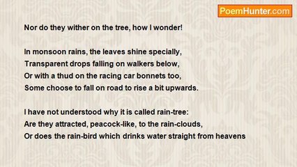 Daniel Trevelyn Joseph - Rain-tree