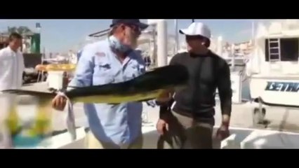 Balığı Yakaladım Zannederken