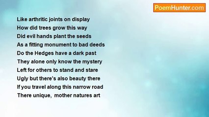 Douglas McClarty - The Dark Hedges