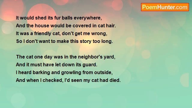 Jon M. Nelson - Curiosity Killed The Cat