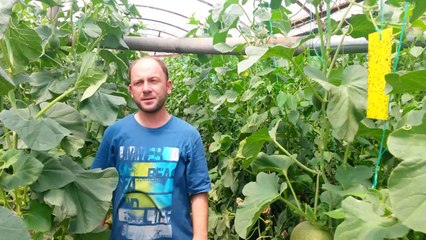 Sera Hastalıkları - Antalya Kumluca - Bayram ERsoy