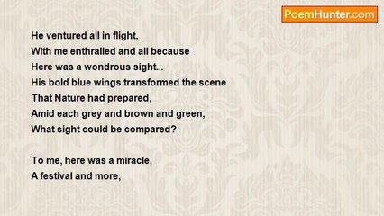 Denis Martindale - Leaving The Nest!