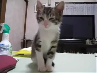 Anlat Sen Ben Dinliyorum