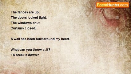 Aisha Sherazi - The Wall Around My Heart