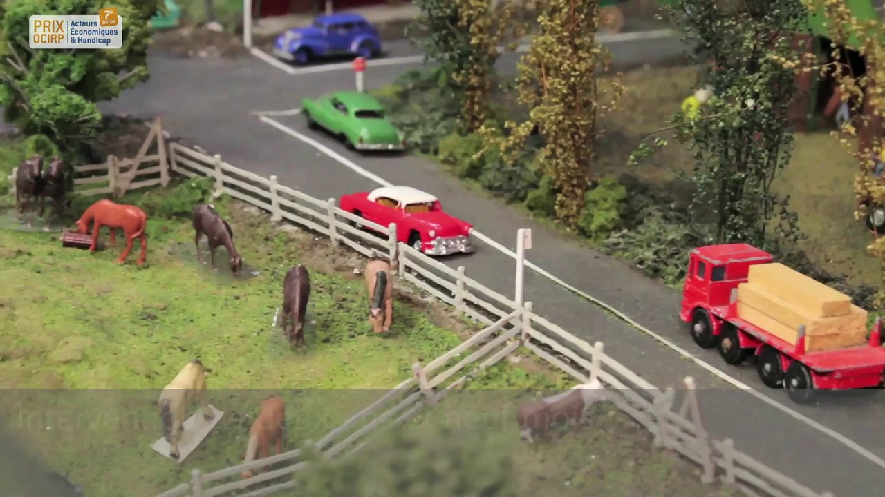 Les Consultants en Réadaptation du Québec| Prix OCIRP Acteurs Economiques & Handicap 2014