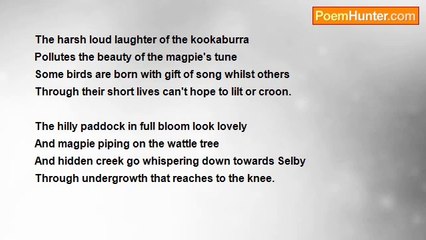 Francis Duggan - The Sun Shines Brightly On The Hills Of Emerald