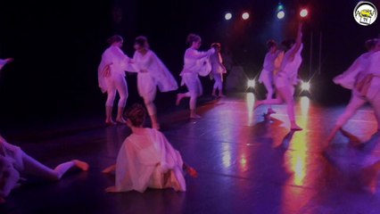 ASV TV - GALA DE DANSE 2014 - Hôtel Transylvanie