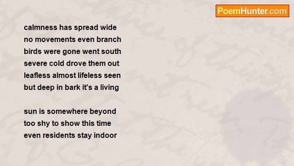 Manonton Dalan - 121110F forces are stand still