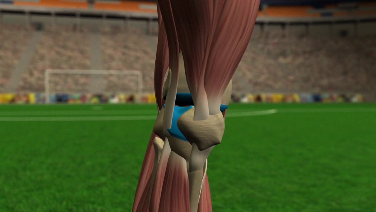 Les blessures des joueurs : le genou