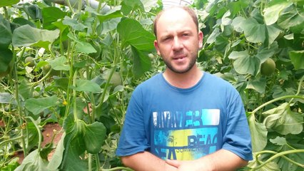 Kumluca - Kavun Serası - Bayram Ersoy