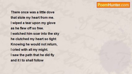 Haley Akin - The Dove