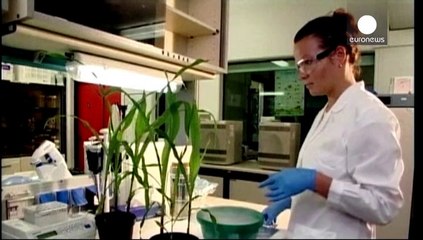 Sicurezza alimentare. Il trattato di libero scambio con gli americani solleva inquietudini