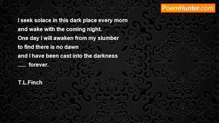 t.l. finch - Into The Darkness