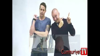 Köpekler havlayan insanlara nasıl tepki verir?