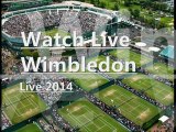 2014 Wimbledon Championships