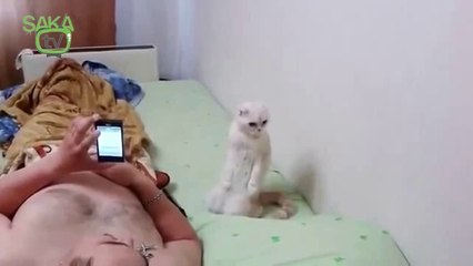 Ruslara Karşı Saygı Duyan Kedi