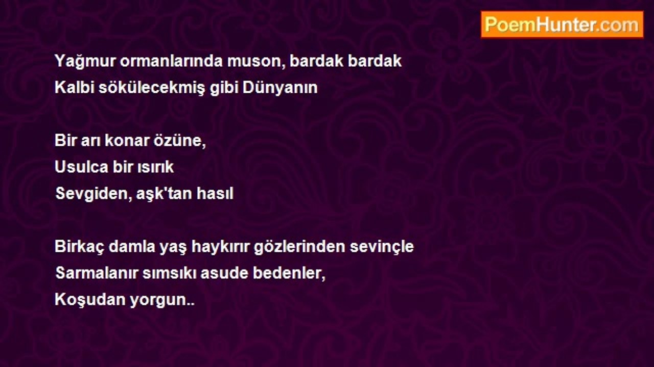 Muzaffer Akin - Zifaf
