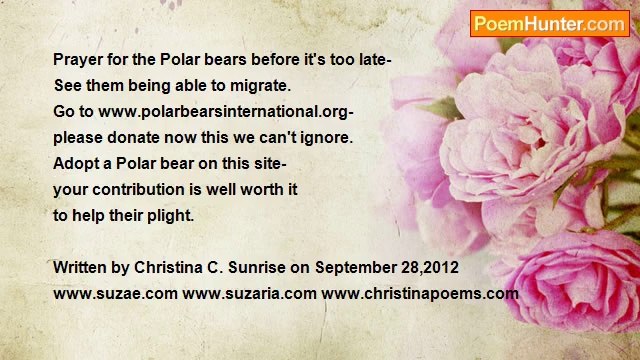 Christina C Sunrise - Save The Polar Bears