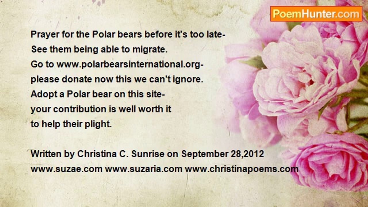 Christina C Sunrise - Save The Polar Bears