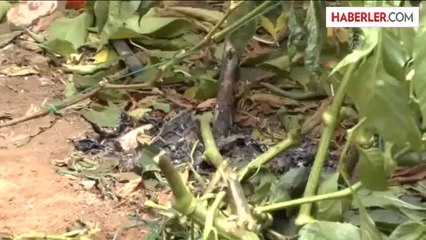 Demirci ustası akıma kapılarak yaşamını yitirdi -