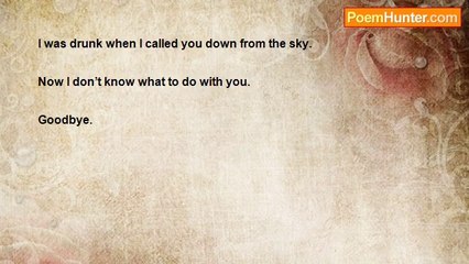 Robert Rorabeck - Ivory Billed Woodpecker