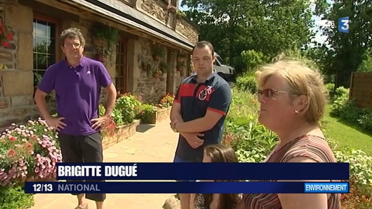 En Bretagne, des habitants ont construit leur propre parc d'éoliennes