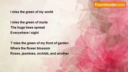 khoirun niam - I miss the green of my world