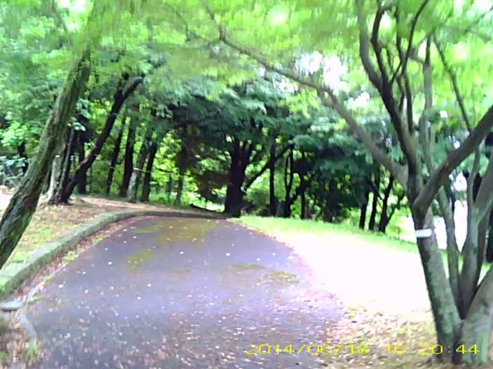 弥生の森