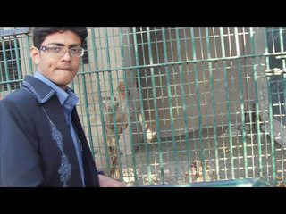 jindri luti tain yaar_ (Tanhaiii)