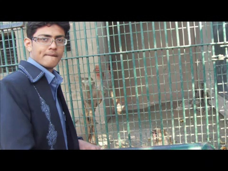 jindri luti tain yaar_ (Tanhaiii)