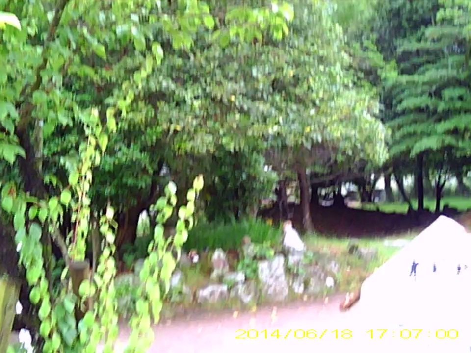 観世音寺