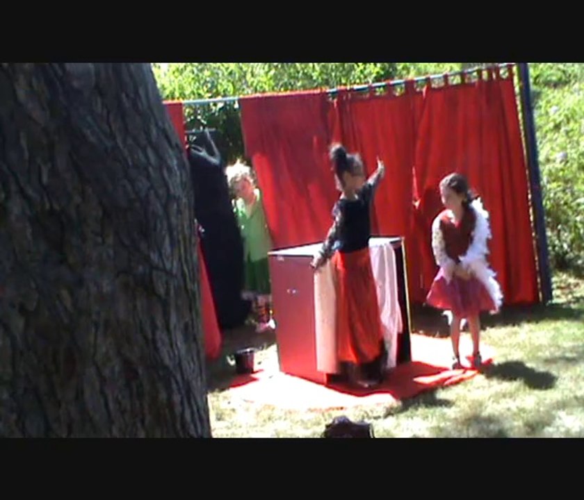 "zilluminus circus"