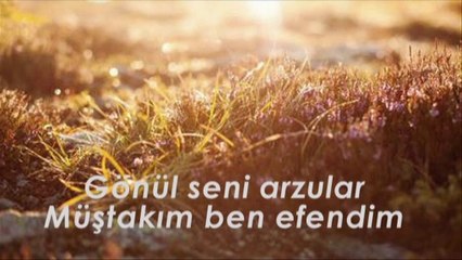 ilahi ara ( Sevdim Seni Gönülden ) Dinle