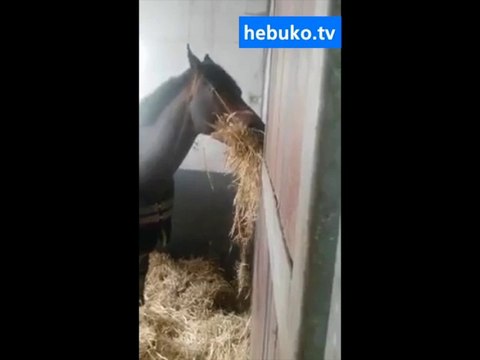 tek kelimeyle muhteşem - aşk budur!