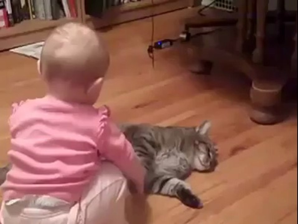 My lovely cat