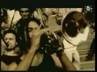 Clip Sinsemilia La Mauvaise Réputation