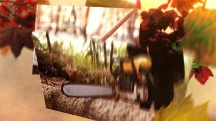 Johnsons Mowers On the Move LLC - (734) 395-9587