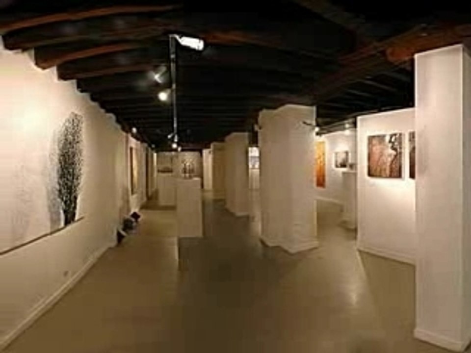 L'empreinte des arbres