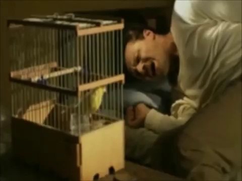 Zülfü Livaneli - Ah benim sevdalı başım