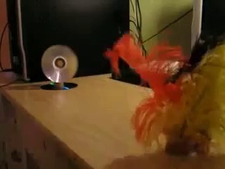 How to make a fan from old CD