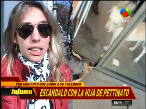Pronto.com.ar Tamara Pettinato habla de la muerte de su gato