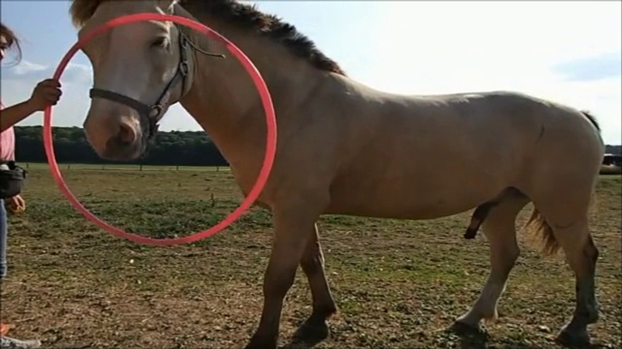 clicker cerceau