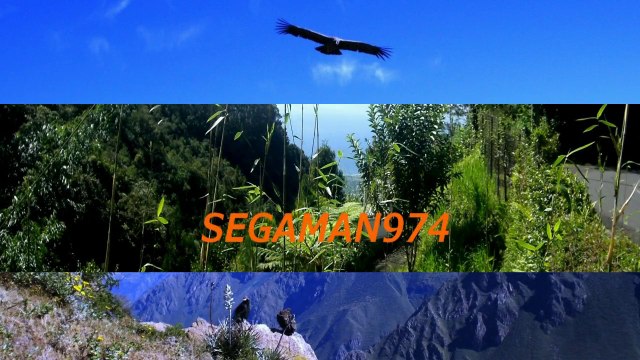 medley racine des iles