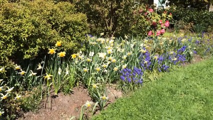 Mobile Capture Apr 12, 2014