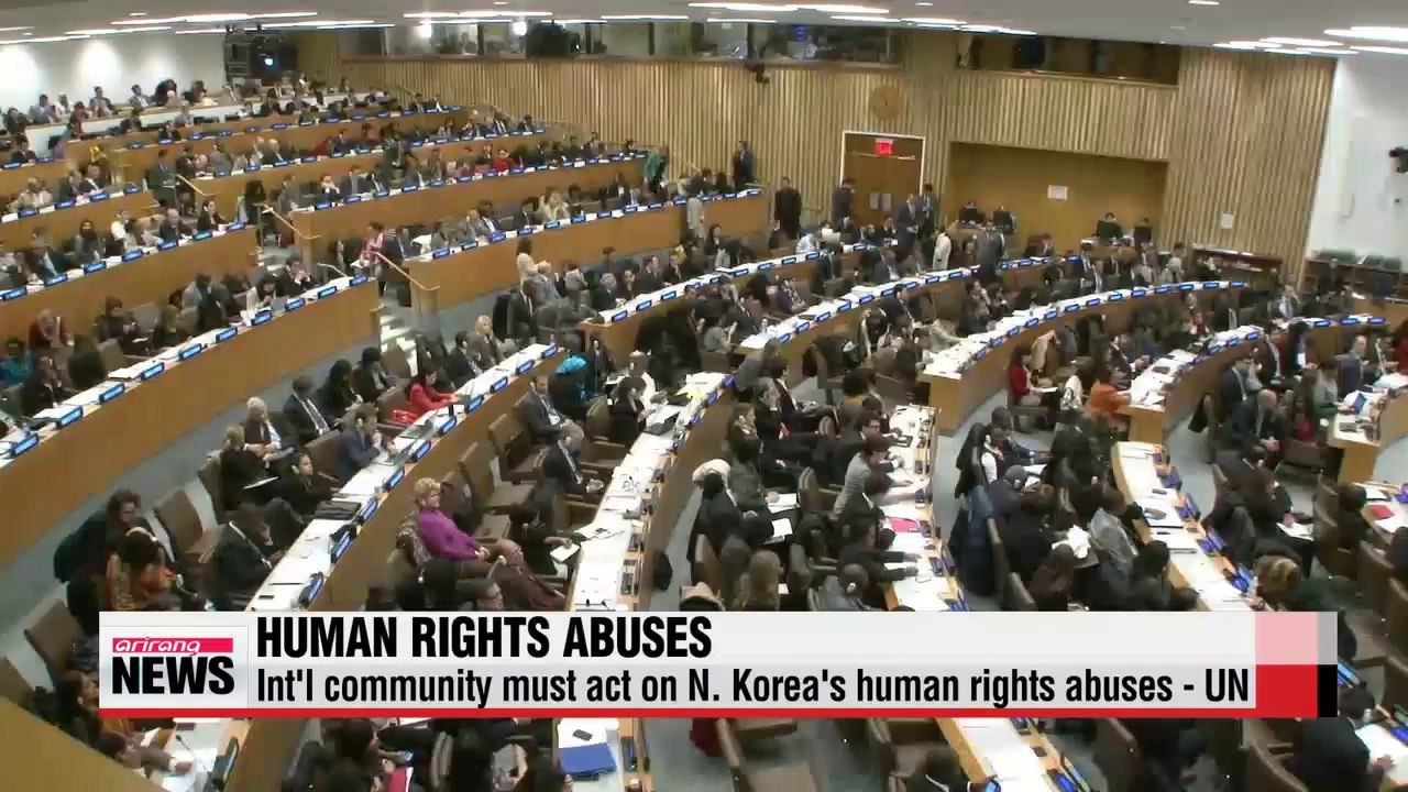 Int'l community must react to North Korean human rights abuses UN monitor