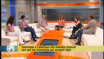 TV3 - Els Matins - Gascon: 