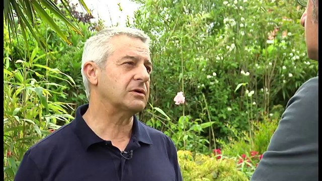 Tribuaren Berbak (60ko hamarkadako astindua)