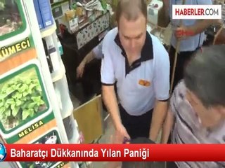 Baharatçı Dükkanında Yılan Paniği
