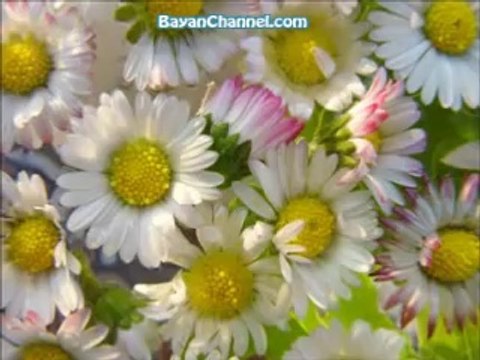 Jannat K Nojwano K Sardar - Imam Hassan or Hussain (RA) - Molana Tariq Jameel Emotional Bayan