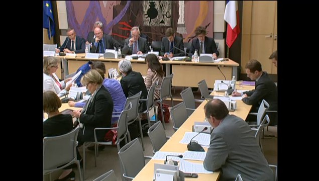 M. Jean-Ludovic Silicani, président de l’Autorité de régulation des communications électroniques et des postes (ARCEP) - Mercredi 18 Juin 2014